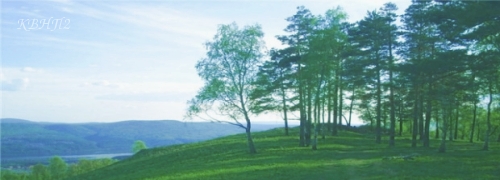 http://upforme.ru/uploads/0005/7d/50/184132-3-f.jpg