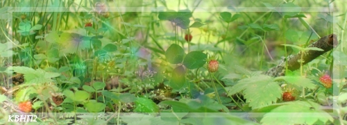 http://upforme.ru/uploads/0005/7d/50/189930-3-f.jpg