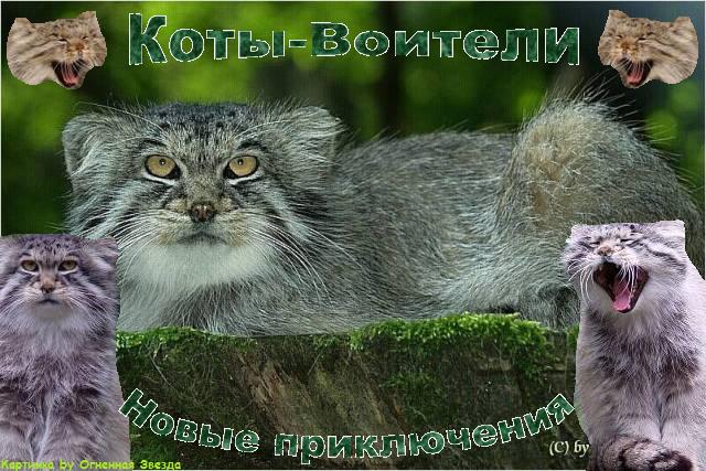 http://upforme.ru/uploads/0005/7d/50/52-1-f.jpg