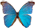http://upforme.ru/uploads/0005/86/e4/35036-1.gif
