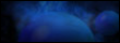 http://upforme.ru/uploads/0005/9b/a5/7611-1.png