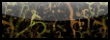http://upforme.ru/uploads/0005/9b/a5/7612-5.png