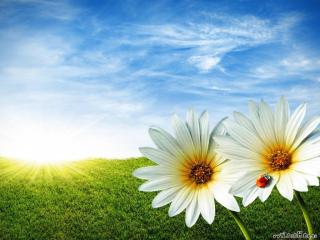 http://upforme.ru/uploads/0005/a9/2b/3428-1.jpg
