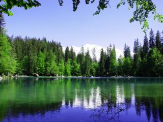 http://upforme.ru/uploads/0005/a9/2b/3435-3.jpg