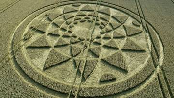 . . Arachnoids. Insectoids-2