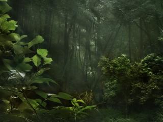 http://upforme.ru/uploads/0005/c9/b0/34-2.jpg