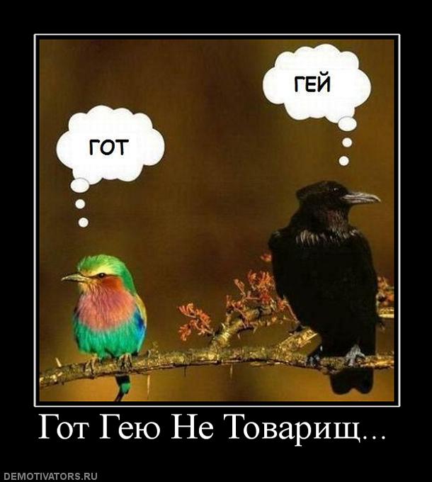 http://upforme.ru/uploads/0006/3f/f1/4425-3-f.jpg