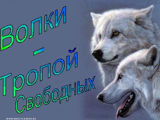 http://upforme.ru/uploads/0006/54/be/82-1.jpg