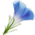 http://upforme.ru/uploads/0006/69/c6/50677-3.gif