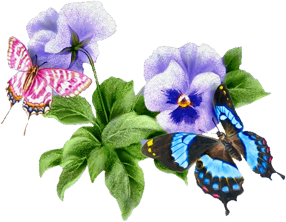 http://upforme.ru/uploads/0006/69/c6/7515-1-f.gif