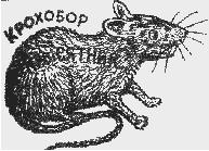 http://upforme.ru/uploads/0006/69/c6/7604-1.jpg
