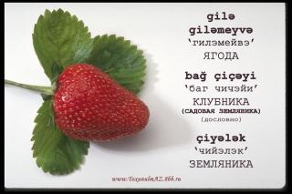 http://upforme.ru/uploads/0006/9c/8b/133-1.jpg