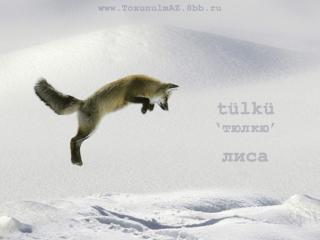http://upforme.ru/uploads/0006/9c/8b/55-3.jpg