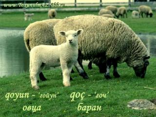 http://upforme.ru/uploads/0006/9c/8b/56-1.jpg
