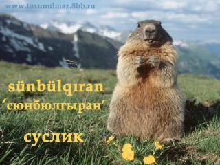 http://upforme.ru/uploads/0006/9c/8b/56-4.jpg