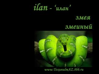 http://upforme.ru/uploads/0006/9c/8b/59-1.jpg