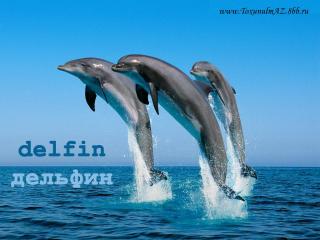 http://upforme.ru/uploads/0006/9c/8b/59-2.jpg