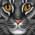 http://upforme.ru/uploads/0006/b4/ea/59-3.gif