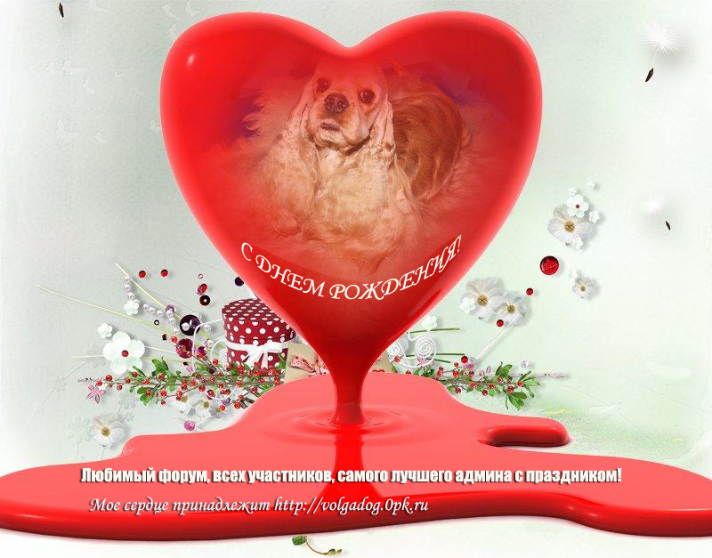 http://upforme.ru/uploads/0006/d7/a2/36007-1-f.jpg