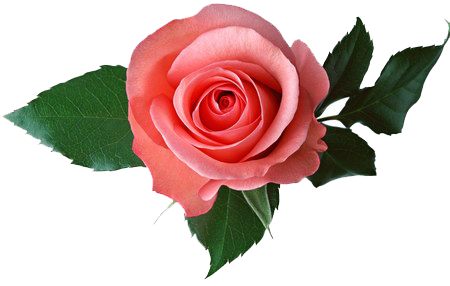 http://upforme.ru/uploads/0006/f1/80/9216-1-f.png
