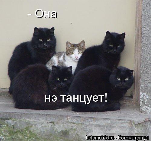 http://upforme.ru/uploads/0006/f5/43/19200-1-f.jpg