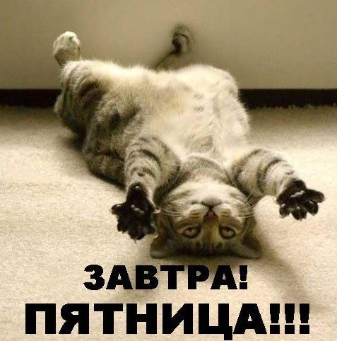 http://upforme.ru/uploads/0007/10/65/345-1-f.jpg