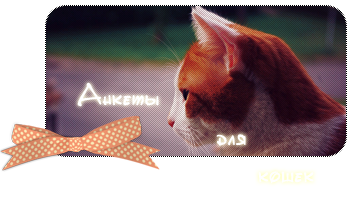 http://upforme.ru/uploads/0007/33/2c/695-1-f.png