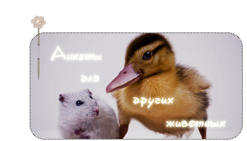 http://upforme.ru/uploads/0007/33/2c/697-1-f.png
