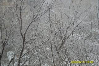 http://upforme.ru/uploads/0007/38/c4/1466-3.jpg