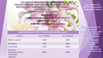 http://upforme.ru/uploads/0007/4f/71/2397/t349295.jpg
