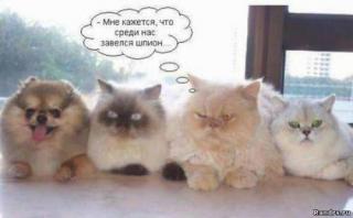 http://upforme.ru/uploads/0007/5b/38/5664-1.jpg