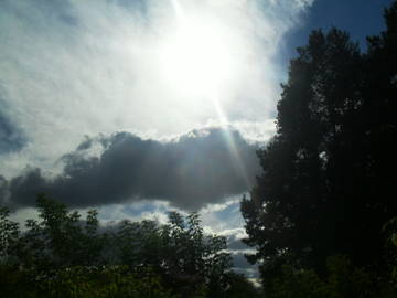 http://upforme.ru/uploads/0007/5b/a7/2/t53913.jpg