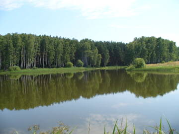 http://upforme.ru/uploads/0007/5b/a7/2/t654919.jpg