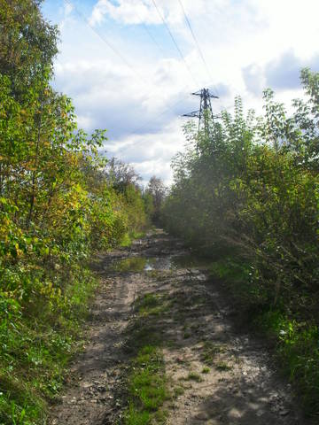 http://upforme.ru/uploads/0007/5b/a7/2/t68198.jpg