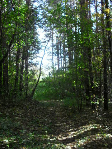 http://upforme.ru/uploads/0007/5b/a7/2/t96101.jpg