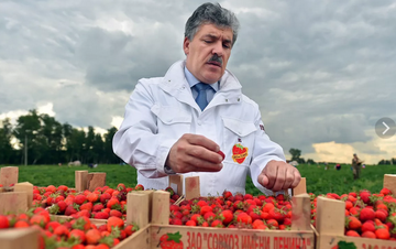 http://upforme.ru/uploads/0007/65/4b/237/t11243.png