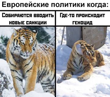 http://upforme.ru/uploads/0007/65/4b/284/t459154.jpg