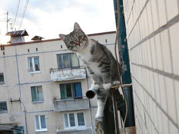 http://upforme.ru/uploads/0007/65/4b/332/t429346.jpg