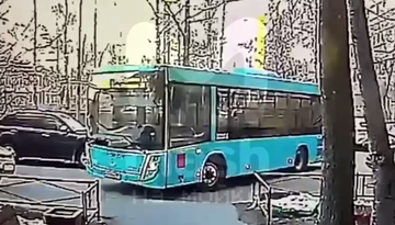 http://upforme.ru/uploads/0007/65/4b/383/t986678.png