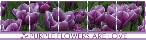 http://upforme.ru/uploads/0007/65/4e/141473-1-f.png