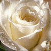 http://upforme.ru/uploads/0007/b5/32/82-5.gif