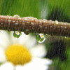 http://upforme.ru/uploads/0007/b5/32/84-1.gif