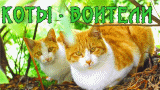 http://upforme.ru/uploads/0007/d1/19/657-1.gif