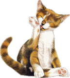 http://upforme.ru/uploads/0007/d9/2b/2366-3.gif