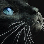http://upforme.ru/uploads/0007/d9/2b/4004-5.gif