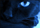 http://upforme.ru/uploads/0007/d9/2b/4005-1.gif