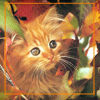 http://upforme.ru/uploads/0007/d9/2b/4178-1.gif