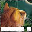 http://upforme.ru/uploads/0007/d9/2b/4178-4.gif