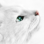 http://upforme.ru/uploads/0007/d9/2b/4221-2.gif