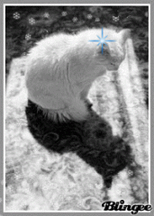 http://upforme.ru/uploads/0007/d9/2b/4221-3.gif